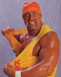 samle chance Tredje Wrestling Book » History and Biography of Hulk Hogan